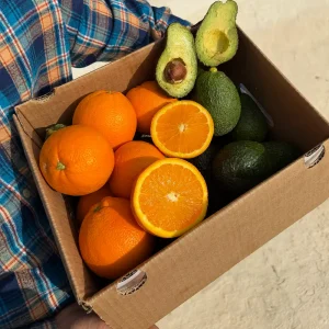 Mixta Aguacate Hass + Naranja Lane Late