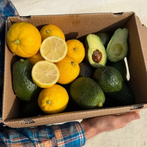 Mixta Aguacate Hass + Limón